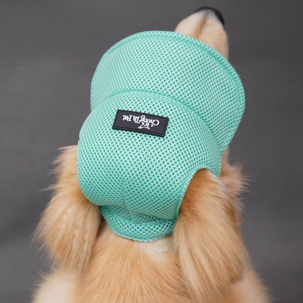 Dog Hat With Open Ears, Pet Bucket Hat, Sunshade Costume, Corgi Sun Protection Yellow Hat, Amazon Sunshade And Sun Protection
